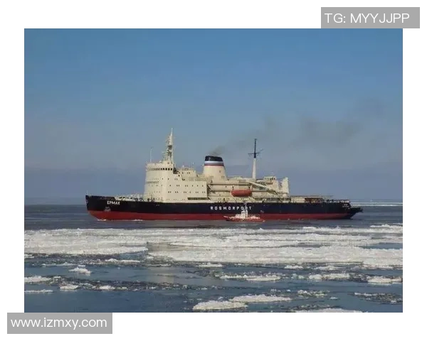 亚马尔地区的能源战略与全球市场的未来发展趋势分析